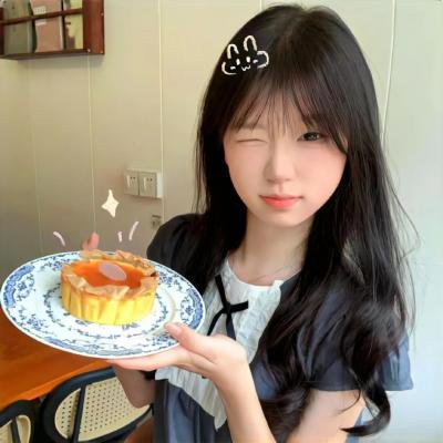 叛碟